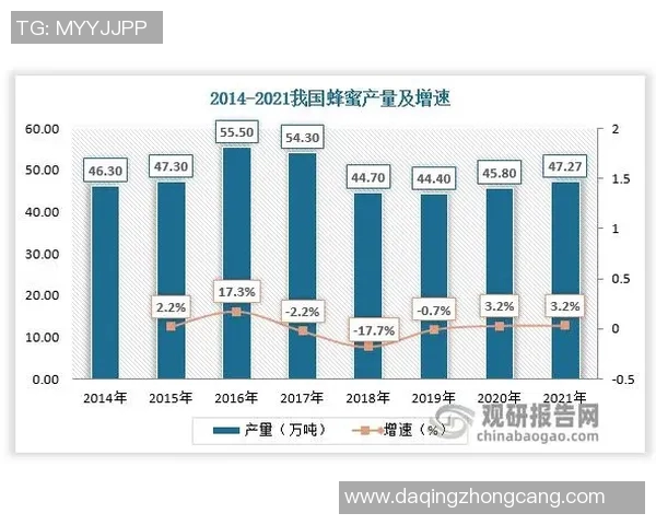 深入解析杭州网球队技术表现的数据分析与趋势研究
